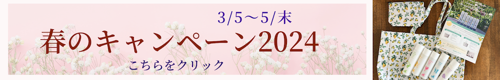 春のキャンペーン2024